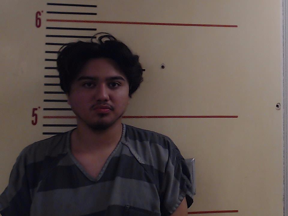 GONZALES, STEVE ARMANI booking photo