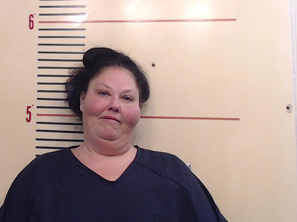 HARVEY, BRANDI LYNN booking photo