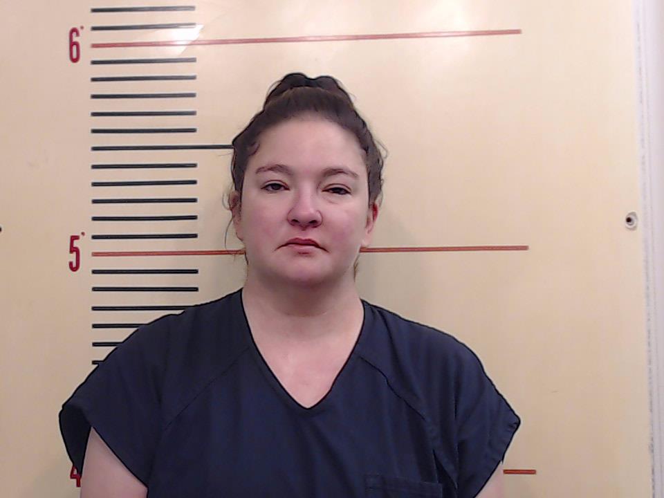 GIBBS, TERRI LYNN booking photo