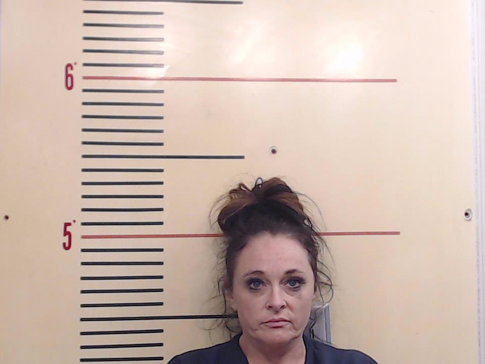 HILTON, ASHLEY PERKINS booking photo