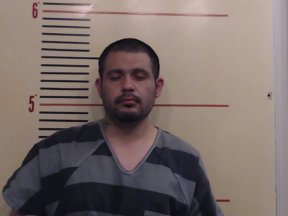 HALEY, PAUL-DAVID booking photo