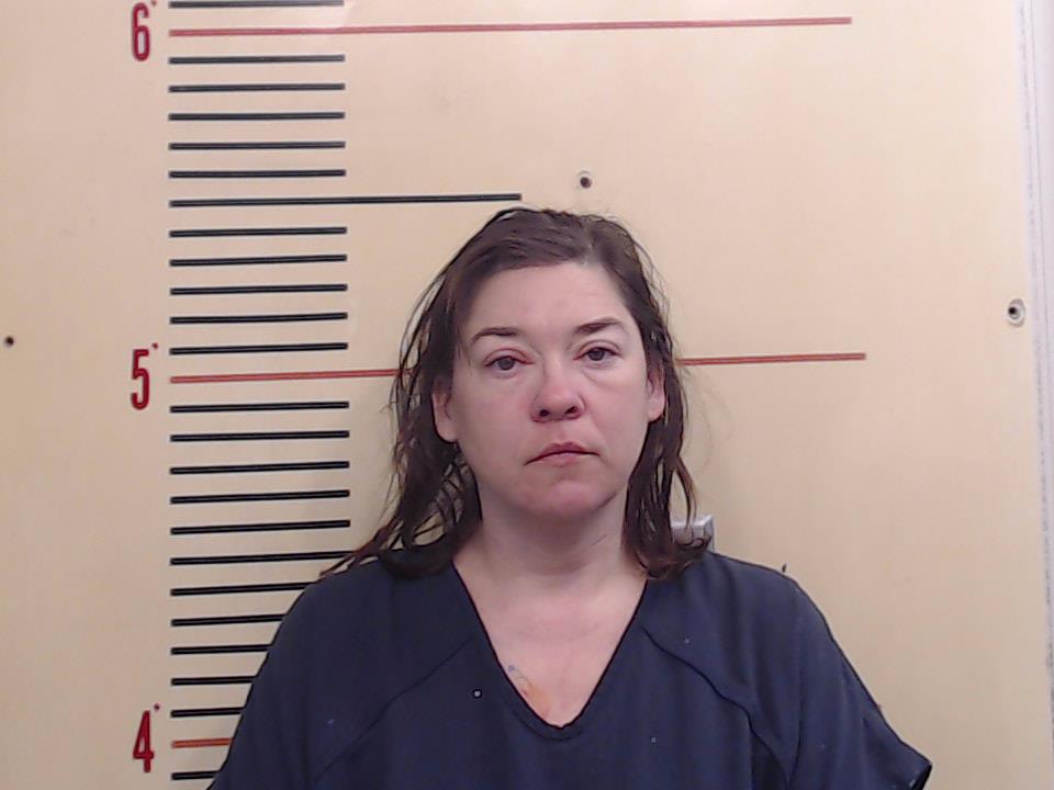 HAMPTON, BRANDY MICHELLE booking photo
