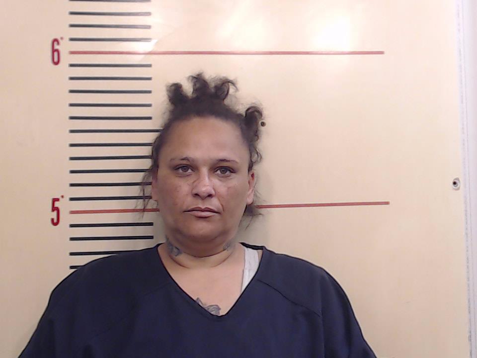 RISNER, CASSEY RENEE booking photo
