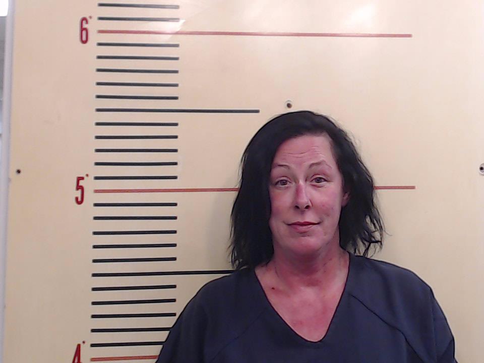 DAVIDSON, JENNIFER LYNN booking photo