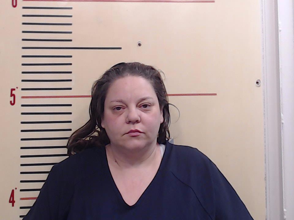 DAVIS, WATOSHA NICOLE booking photo