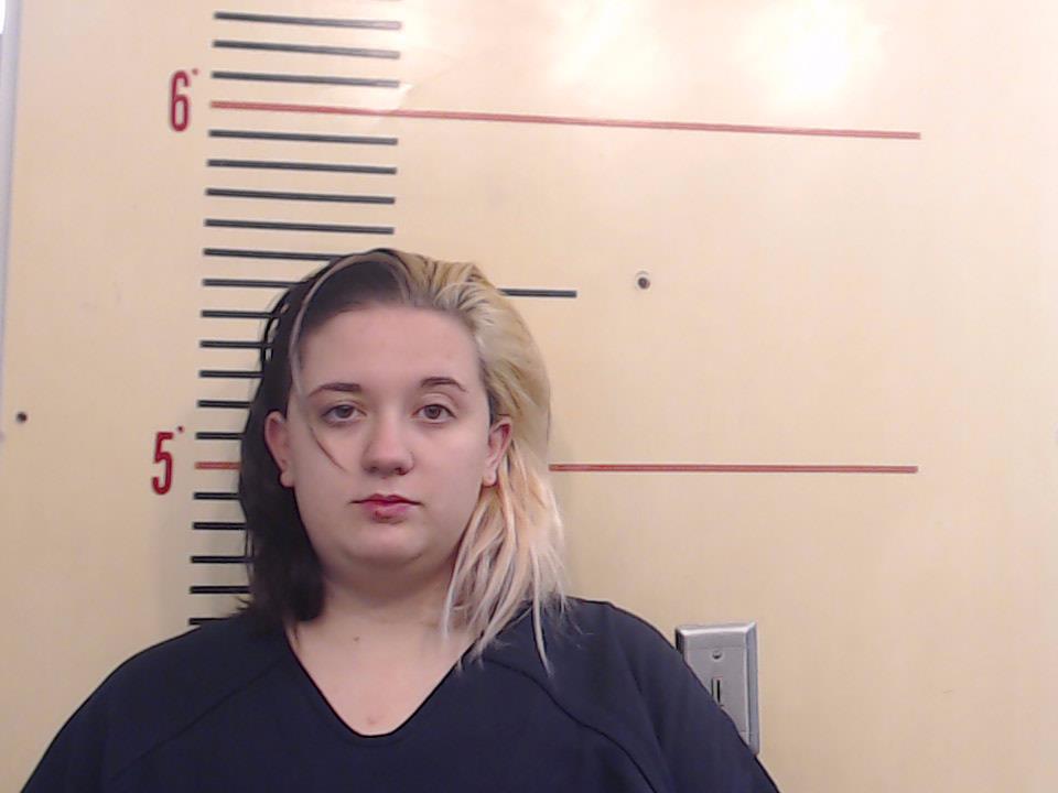 BAILEY, BREEANNA NICOLE booking photo