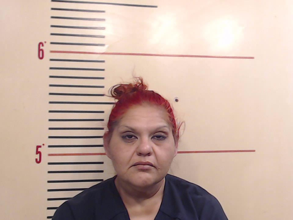 ALVISO, MARLENE arrested by Reno Police Department