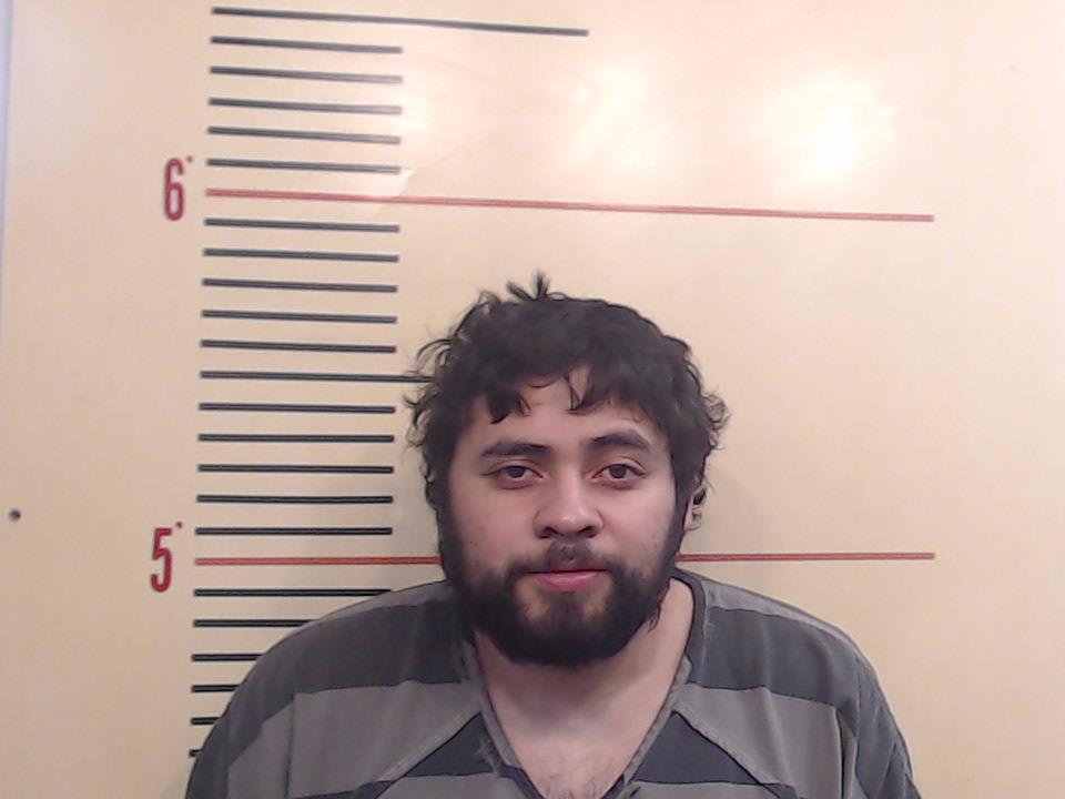 ALVARADO, RAUL EDGARDO arrested by Department of Public Safety