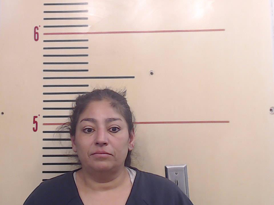 Hernandez, Rosa Marie booking photo