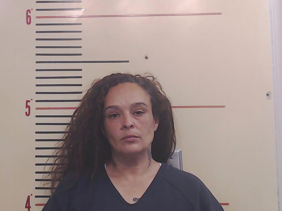 CASTILLO, JEANNIE DAWN booking photo