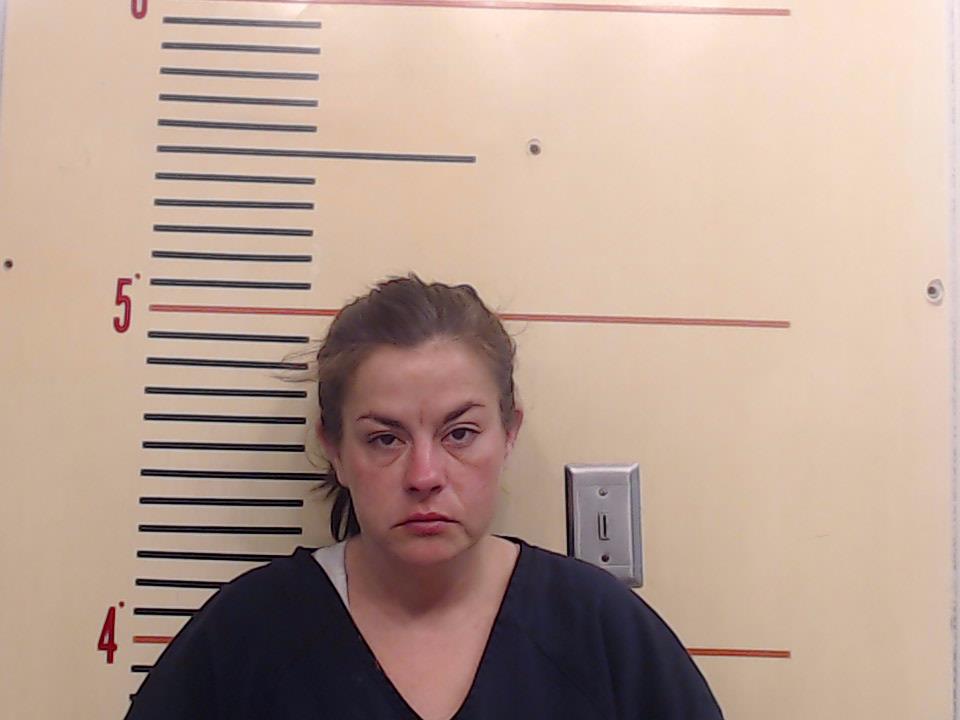 Drake-Gibbins, Lesie Nicole booking photo