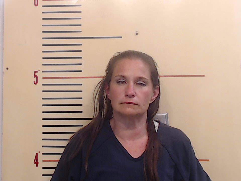 DAVIS, NATASHA LYNN booking photo