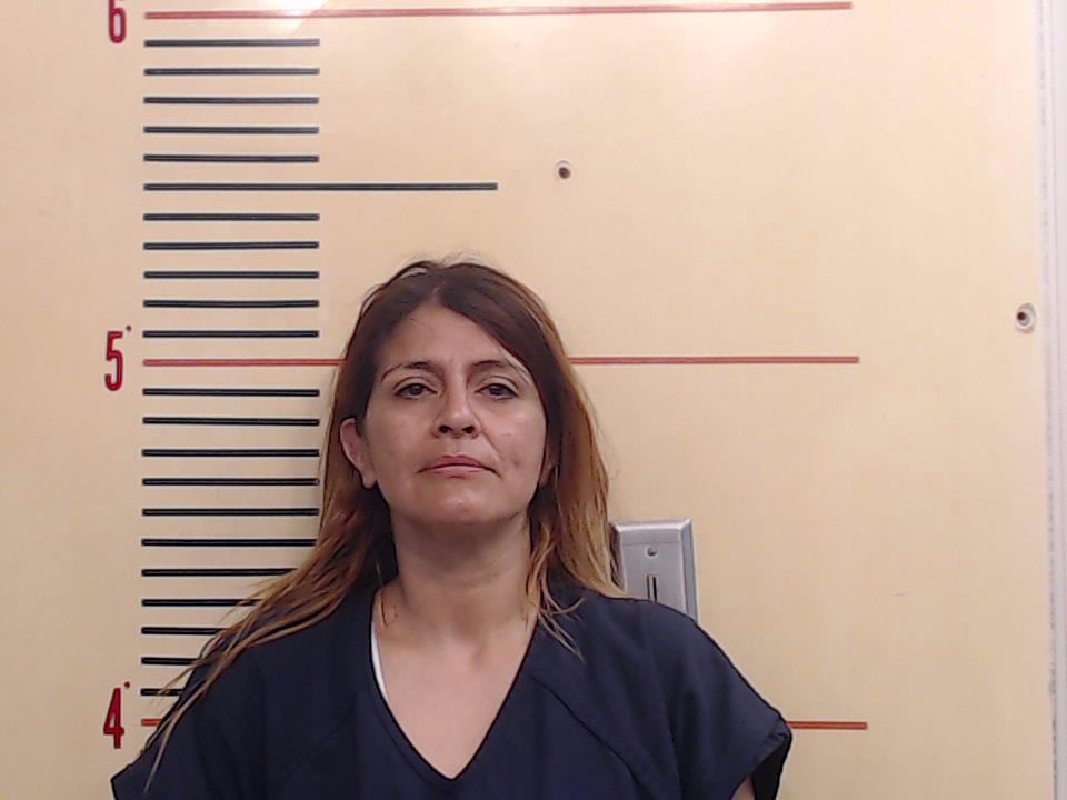 BAKER, AIDA LOUISE booking photo