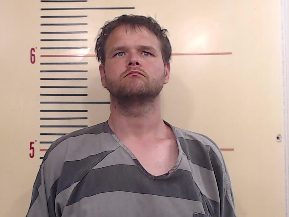 Hamilton, Robert Lawrence, Jr. booking photo