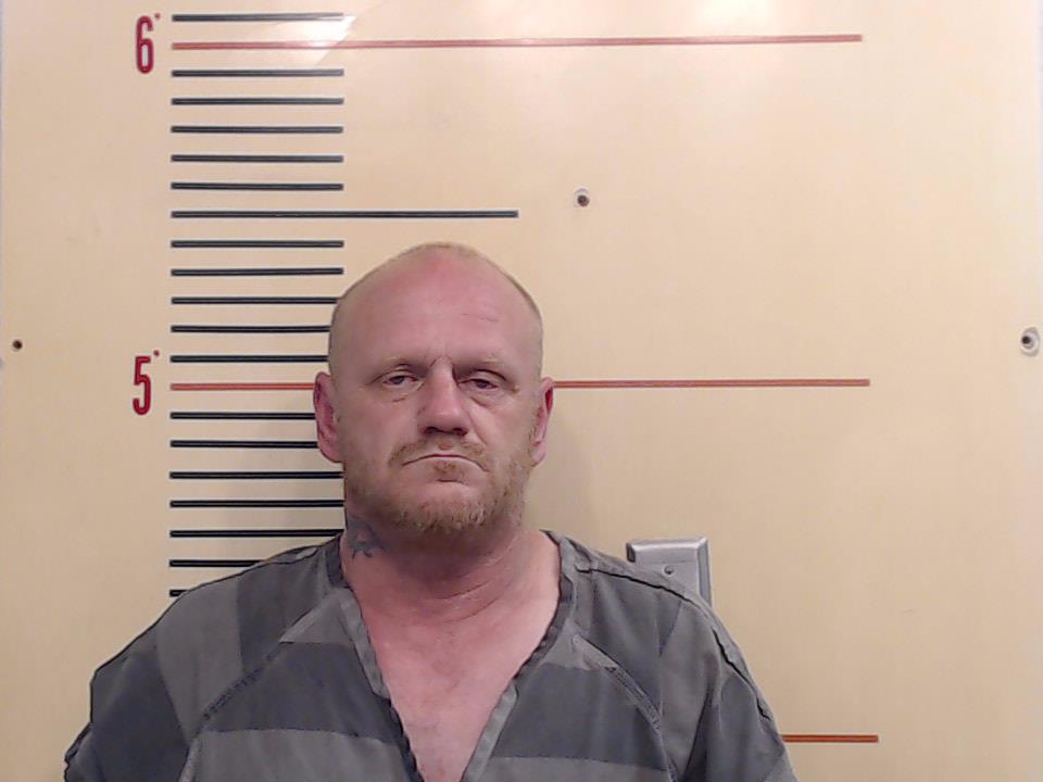 HINES, TERRY DAVIS booking photo