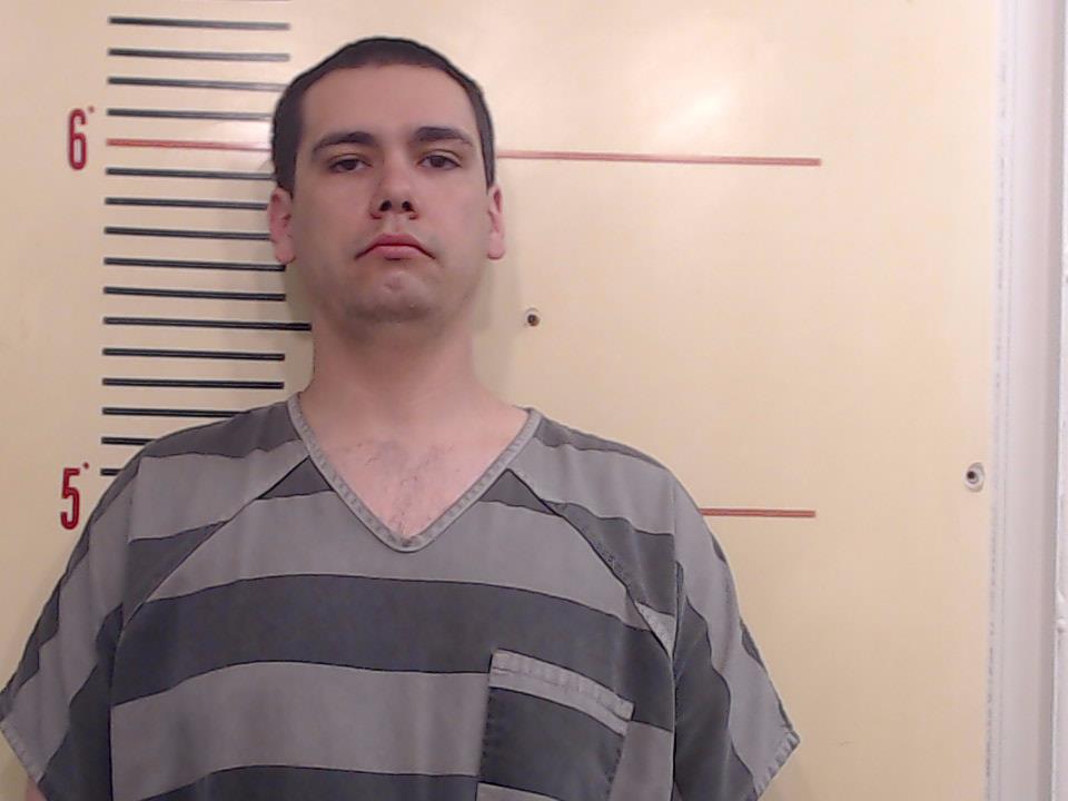 HINSON, ALAN MICHAEL booking photo