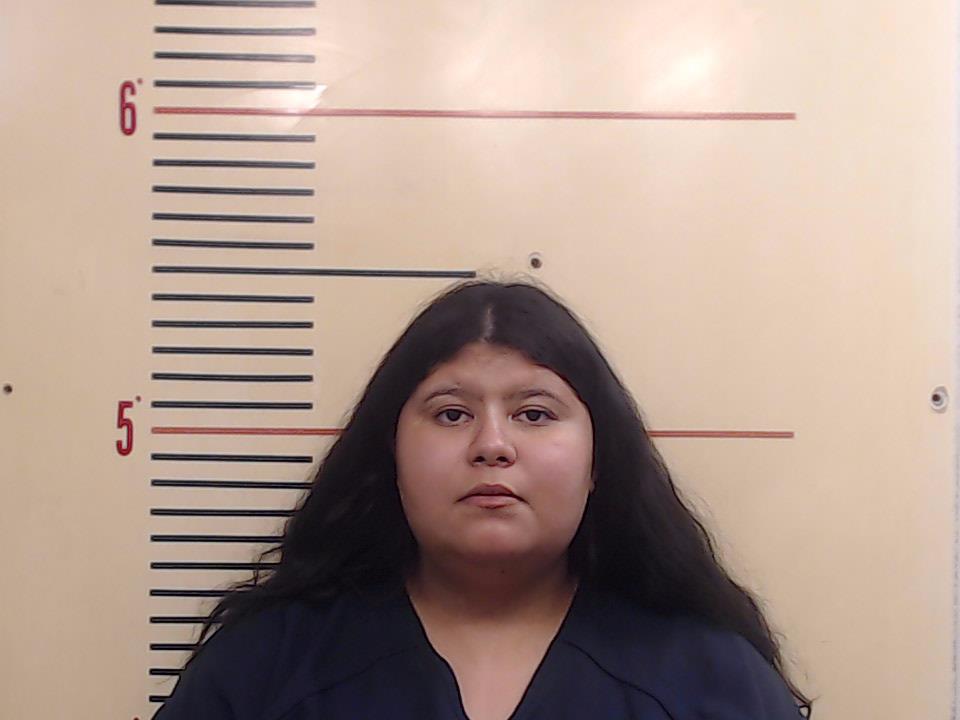 ALVARADO, ROSA M arrested by Parker County Sheriff’s Office