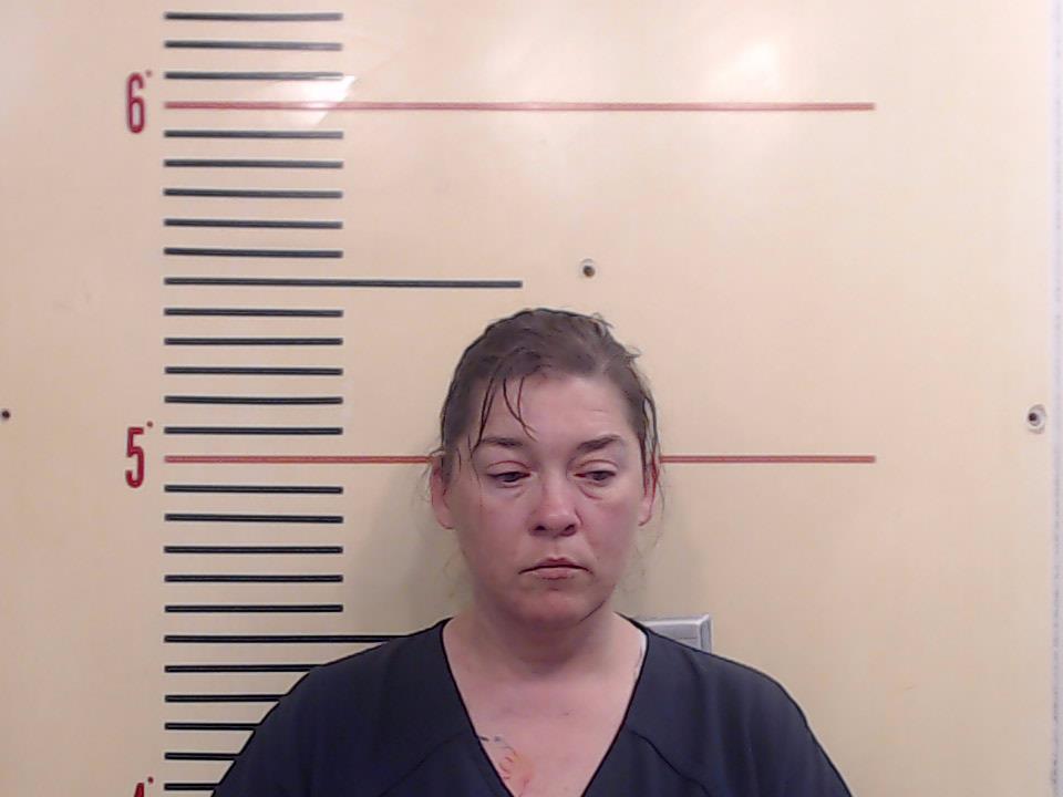 HAMPTON, BRANDY MICHELLE booking photo