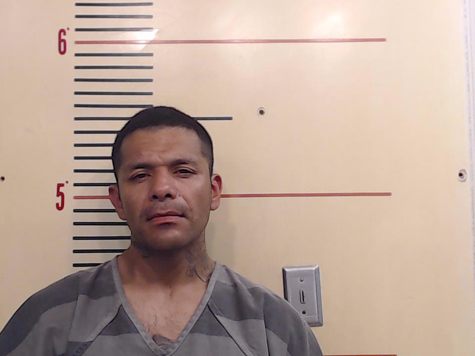 GOMEZ-PATINO, JULIAN booking photo