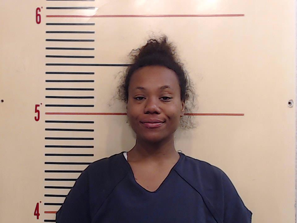 CORREA, BRIANNA MONIC booking photo