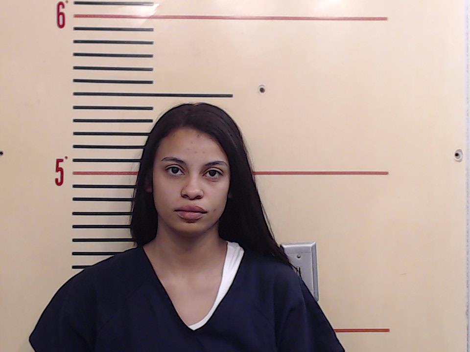 DAVIDSON, DESTINY MARIE booking photo