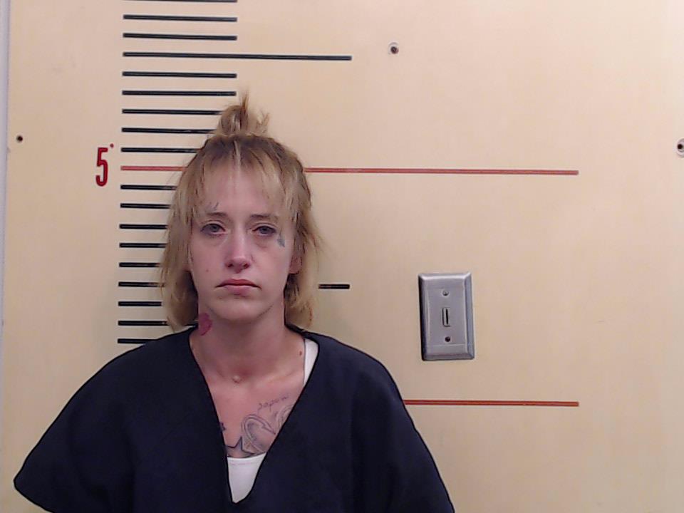 Garvin, Jessica Dee booking photo