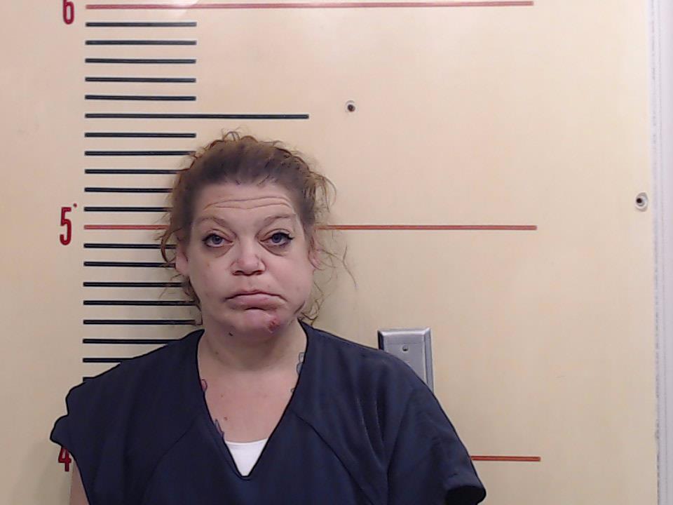 FURTADO, SHELLY RENEA booking photo