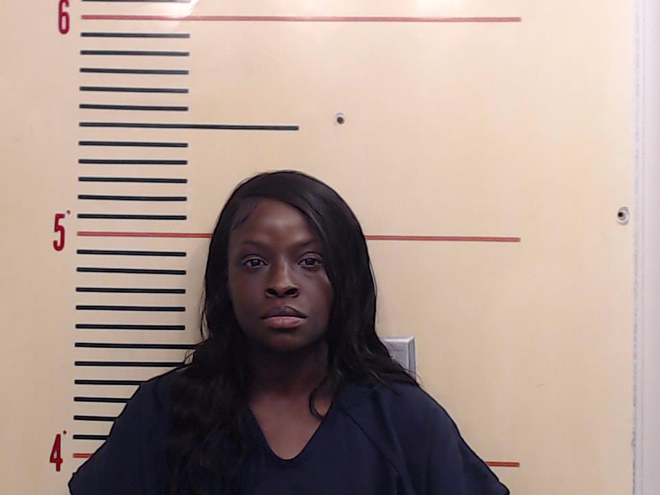 Bowman, Jessica Renee booking photo