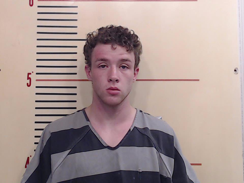 BAILEY, TRISTEN MATLOCK booking photo
