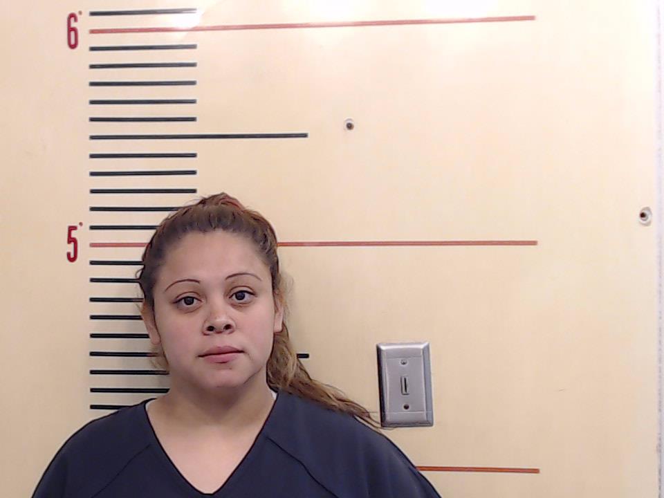 ALVARADO, LAURIE MICHELLE arrested by Parker County Sheriff’s Office