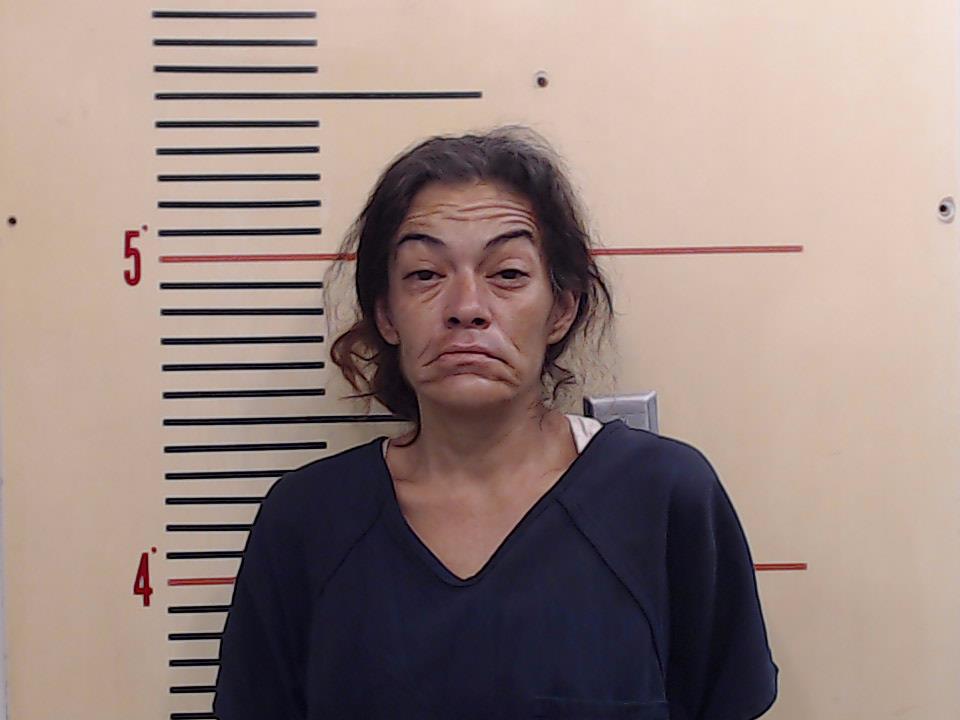 HERNANDEZ, CELIA ELIZABETH booking photo
