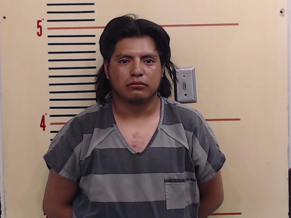 FRANSISCO-SALES, PEDRO booking photo