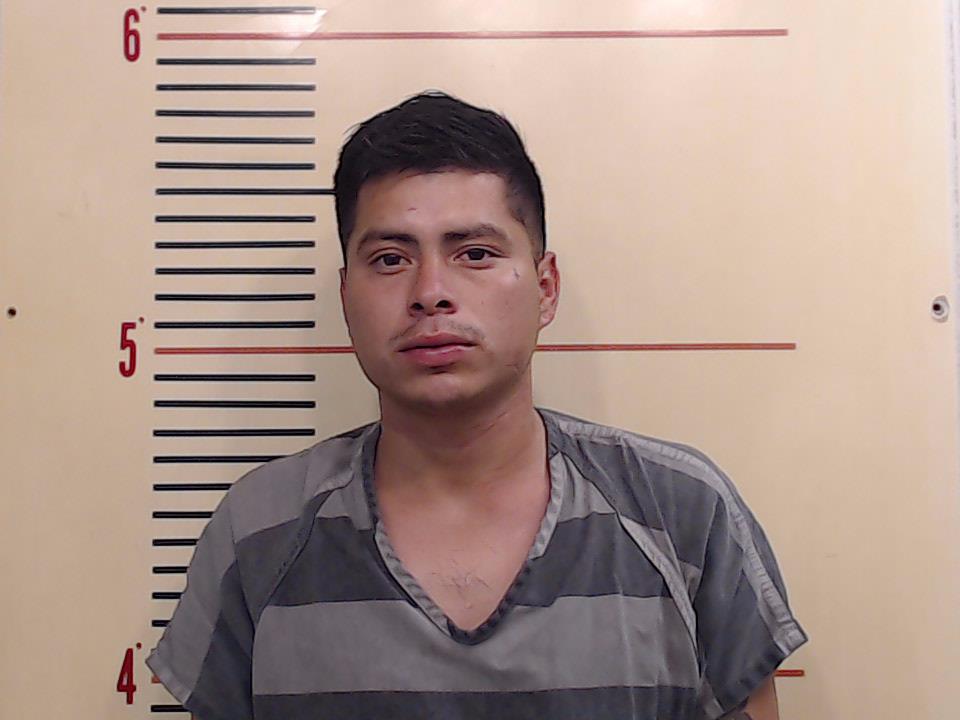 EDWIN, ALVARADO booking photo