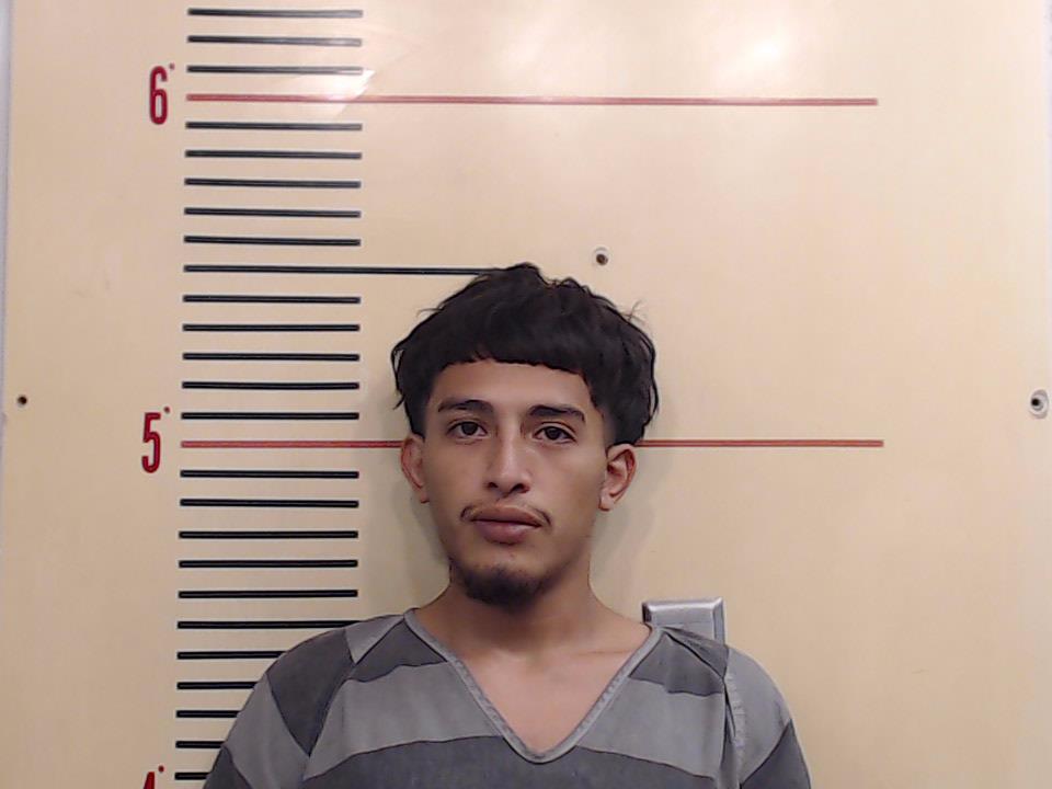 BECERRA, ALAN booking photo