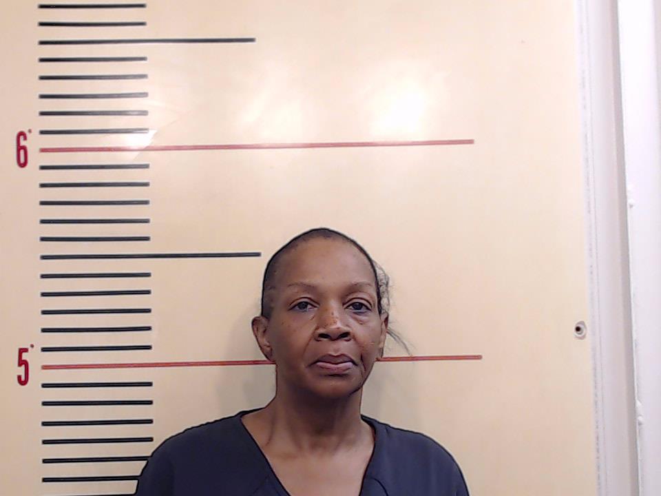 DAVIS, KAREN DENYCE booking photo