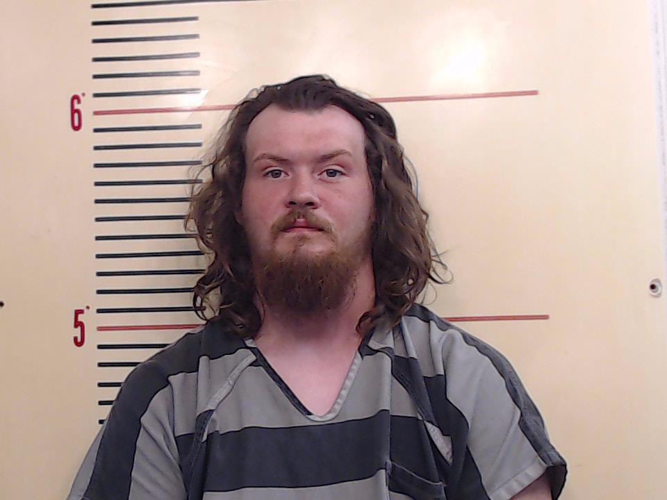 DAVID, AUSTIN LEE booking photo