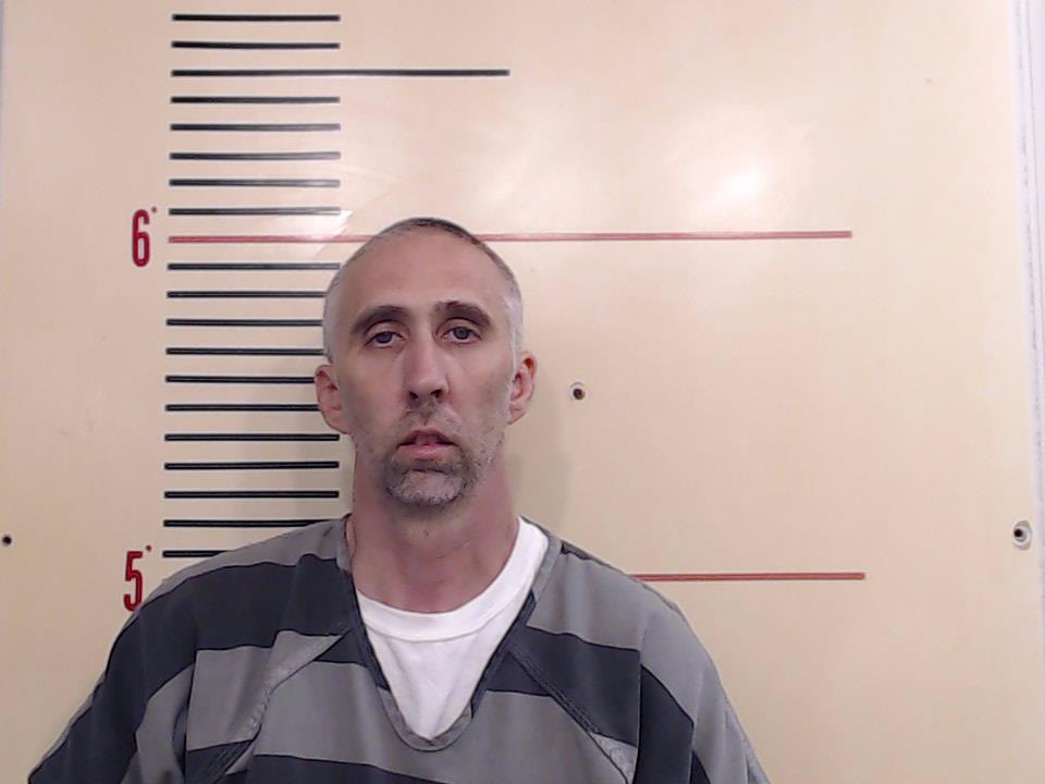 DAVID, JAMES GARNER booking photo