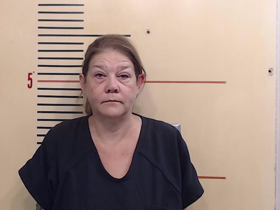 David, Alyssa Shannon booking photo