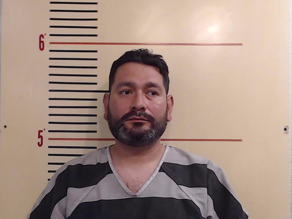 GOMEZ, RAUL FLORES booking photo