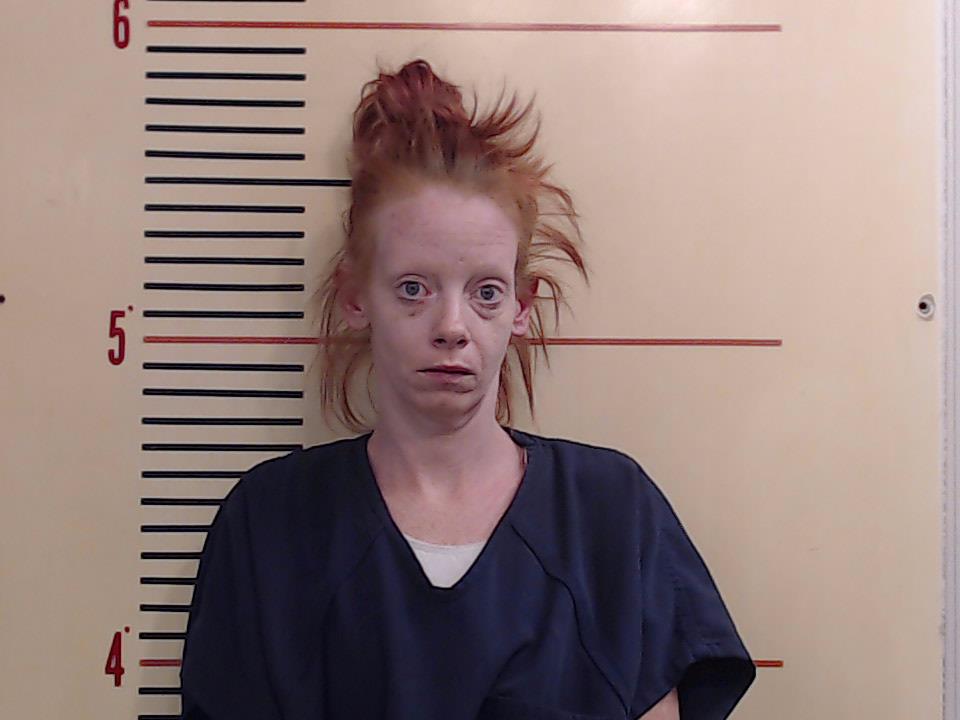 BUTLER, ALICIA JAYMES booking photo