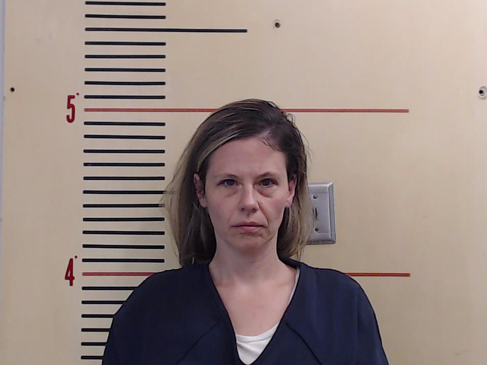 GIBSON, AMANDA LEA booking photo