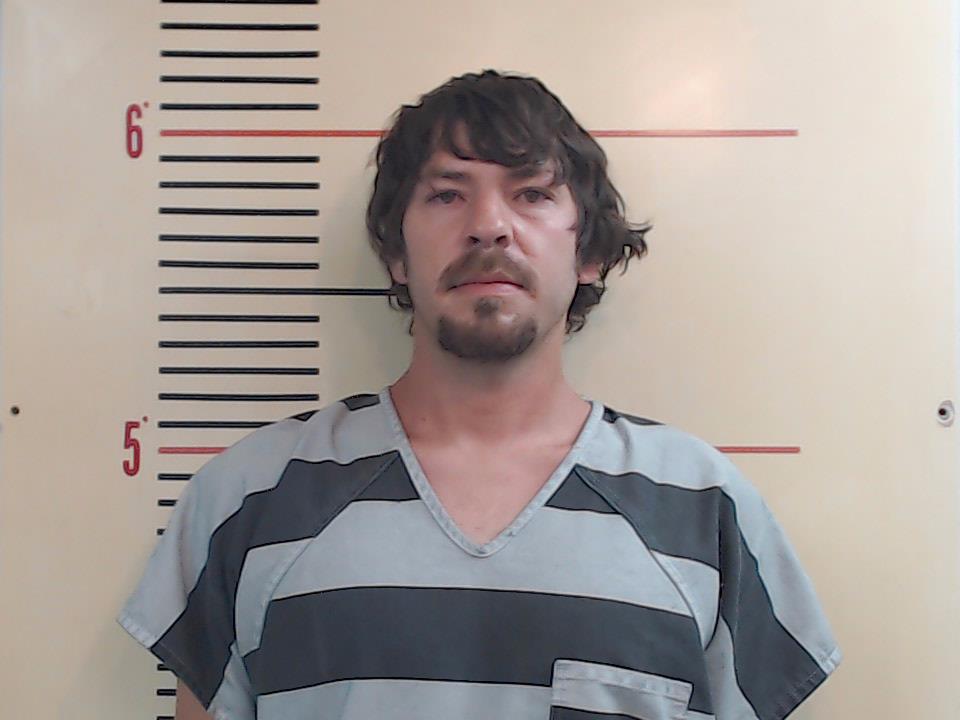 GONZALEZ, NICHOLS AUSTON booking photo