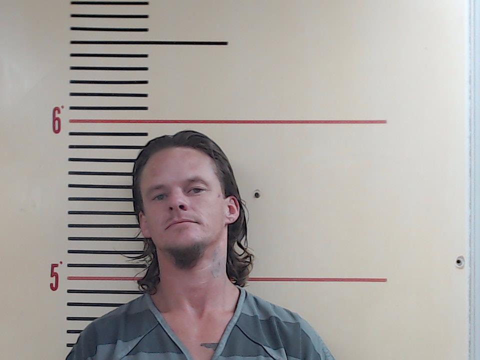 HAYS, STEVEN PAUL booking photo