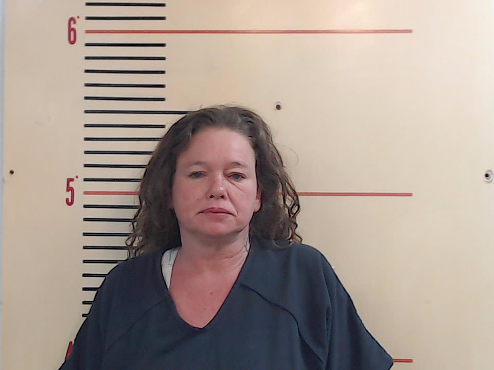COURSEY-HERTEL, BARBARA ANN booking photo