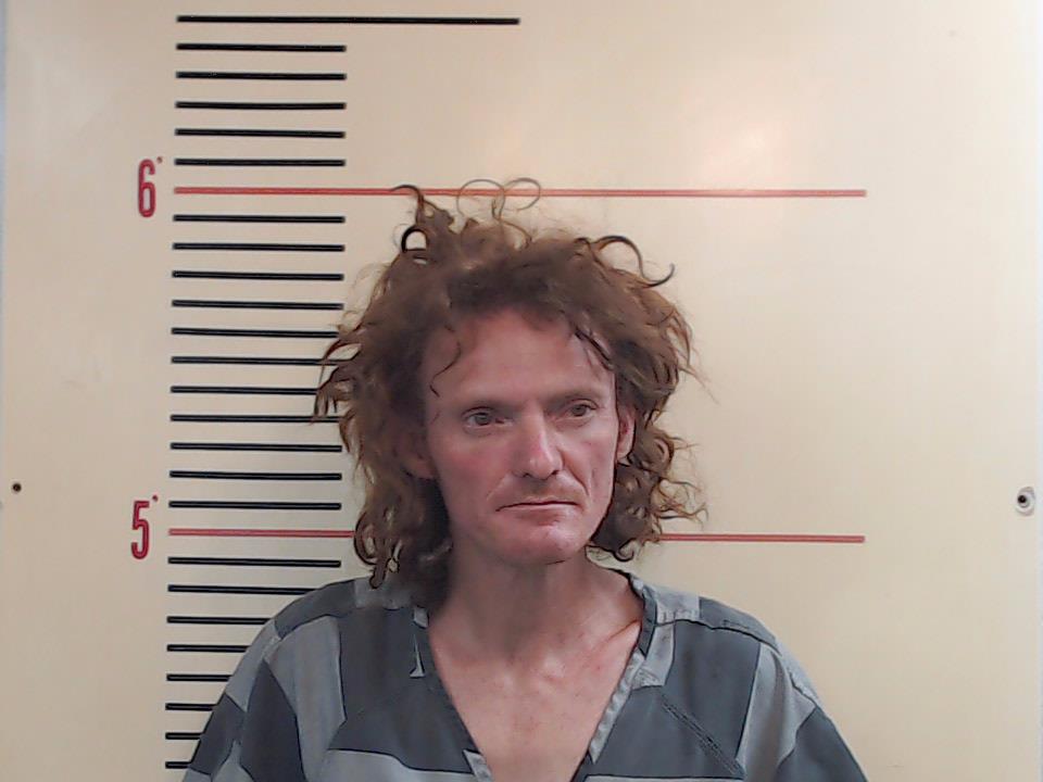 DAVIS, DANIEL LEE booking photo
