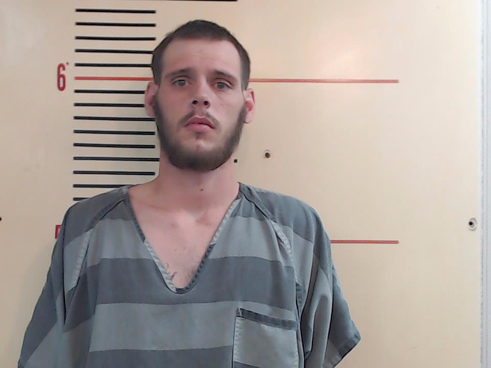 CALLISON, BRIAN DEAN booking photo