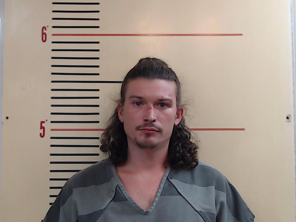 HARRIS, TAYLOR GLENN booking photo
