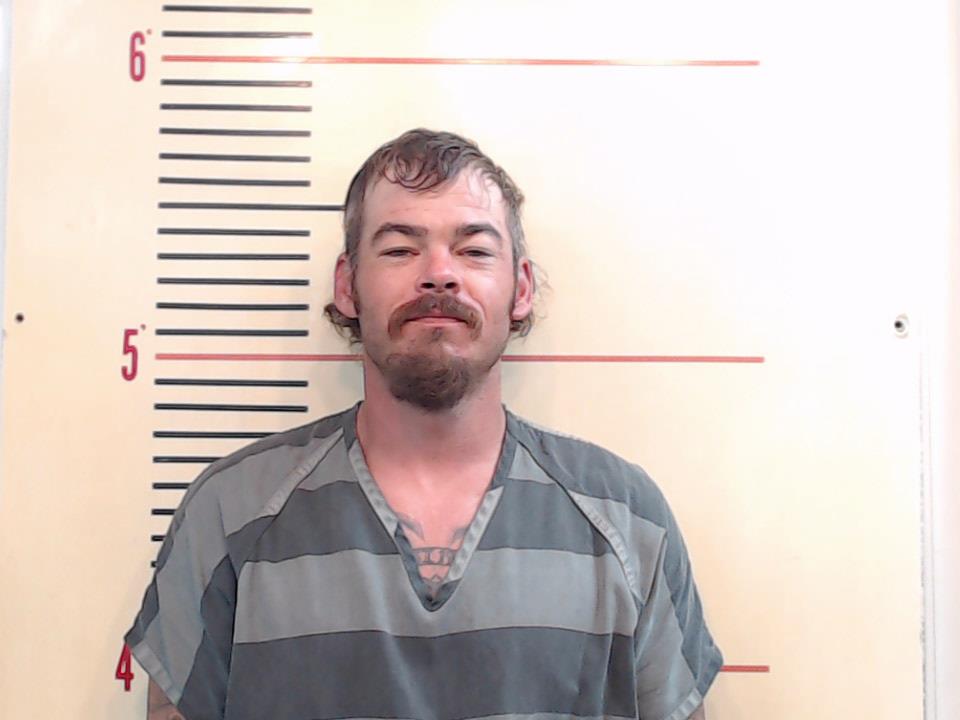 GILMAN, BRYCE GREGORY booking photo