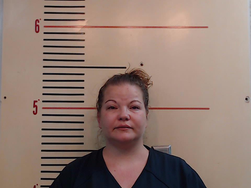 CHILDERS, AMANDA LYNN booking photo