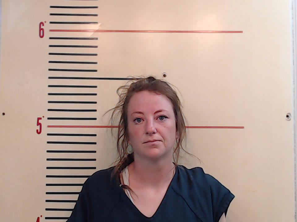 GIBSON, COURTNEY JEAN booking photo